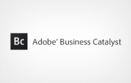 Adobe Business Catalyst